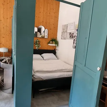 Oscar Et Petrus Au Lioran * Laveissière